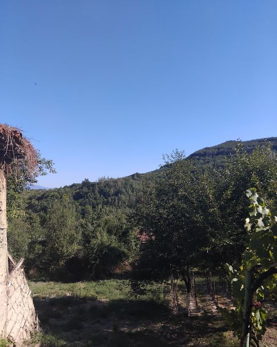 Продава се Къща в с. Мала Фуча, Област Кюстендил - 100 кв.м за 403 €/кв.м - Снимка #7