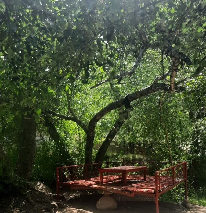 Chimyon tapchan beryoza rechkaga dam olishga keling