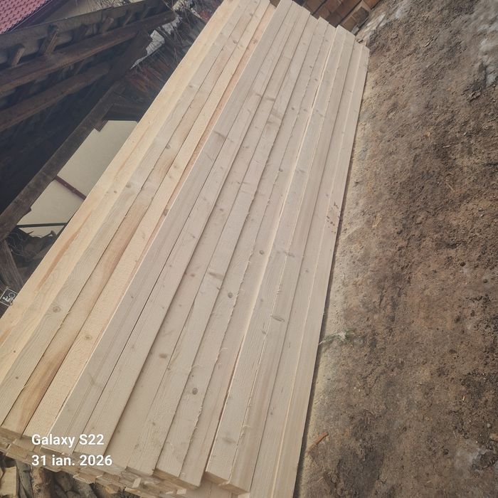 CHERESTEA Rășinoase    Molid  / Brad