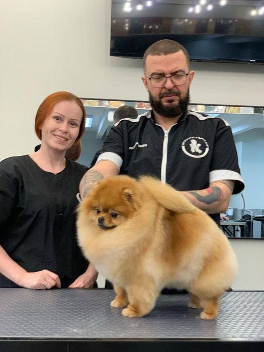 Профессиональная Стрижка и экспресс линька собак. Салон ALIS GROOM