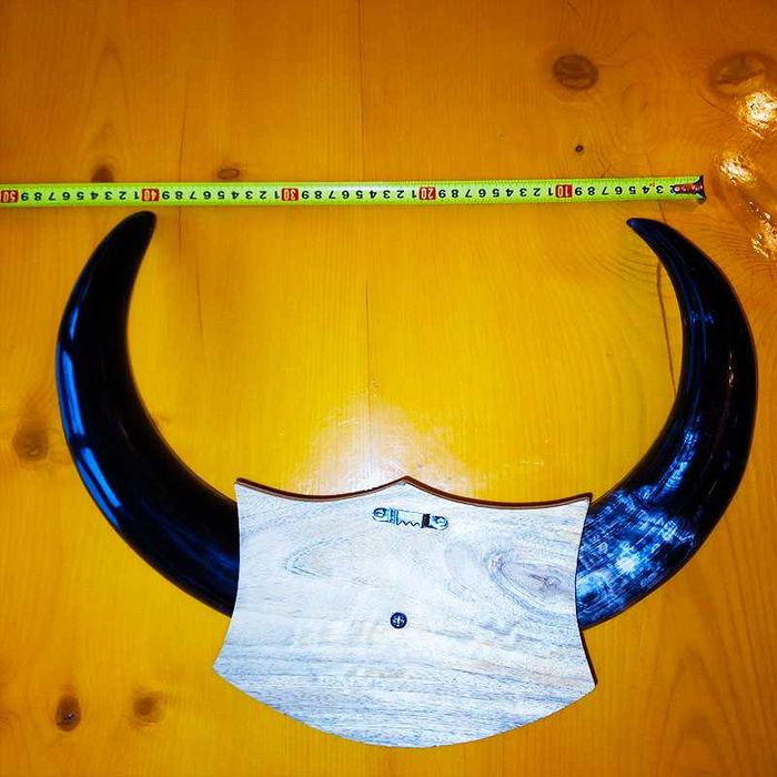 Декорация от рога на воден бивол