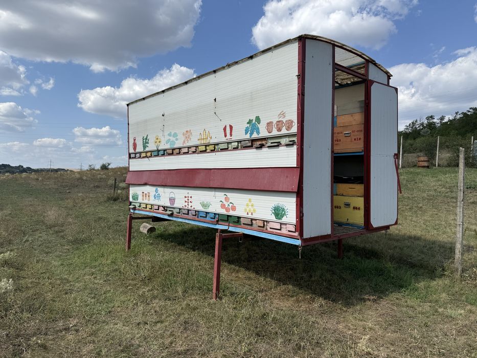 Pavilion apicol 36 de lazi