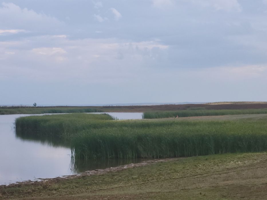 Продаётся дом мечты