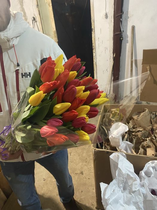 Тюльпаны оптом самые крупные в Казахстане