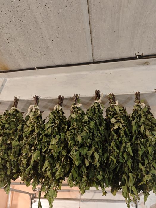 Веники березовые