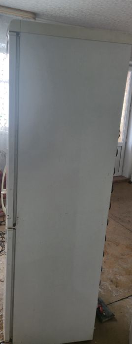 snaige с доставкой на дом