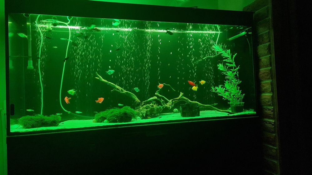 Продам аквариум 400л