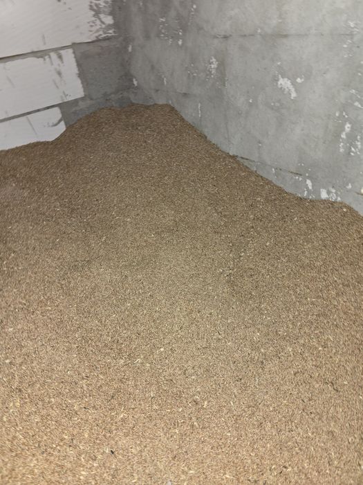 Vand cereale (grâu, orz și orzoaica de primăvară)