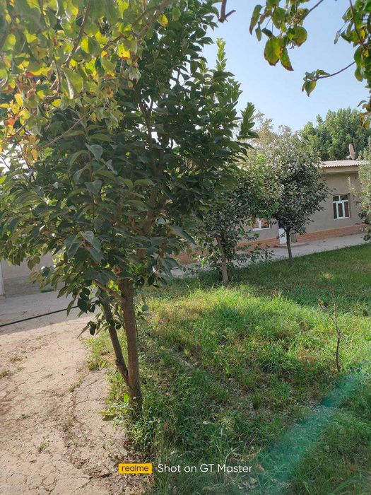 Шошилинч сотувда ховли 
18 сотих