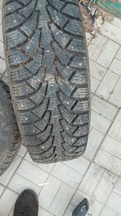 Продам 2 болона целые