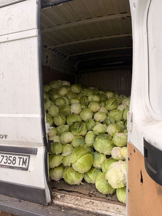 Продавам Зеле (кьосе) .