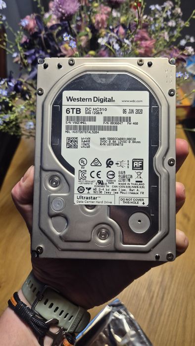 Western Digital 6tb SAS