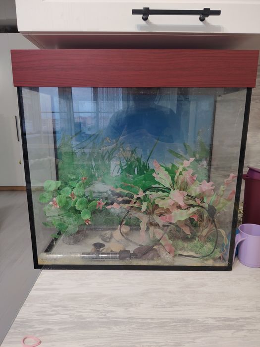 Продам аквариум срочно