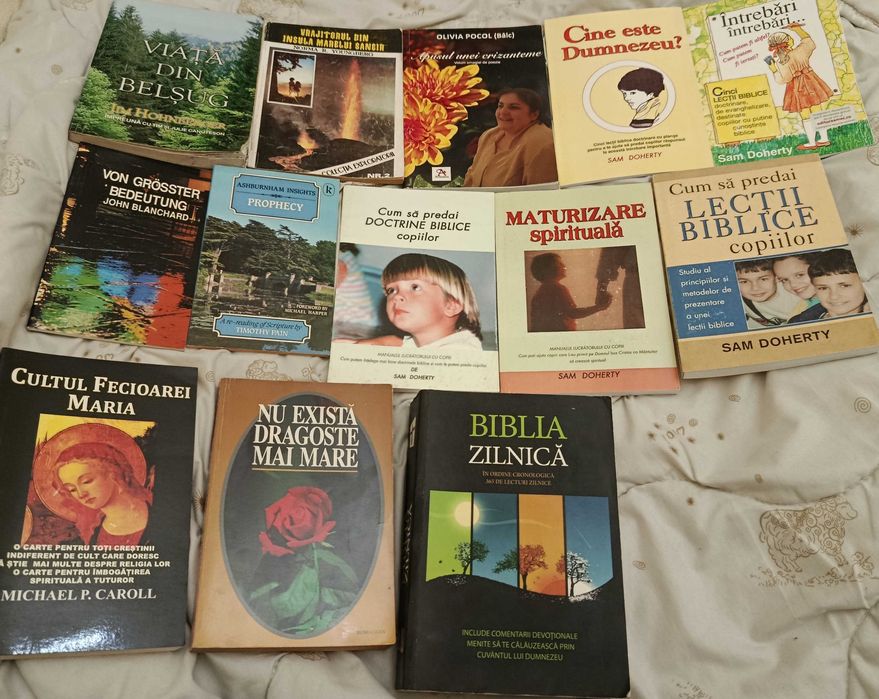 Biblia zilnica și alte cărți creștine