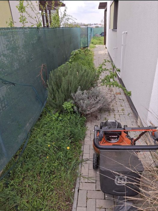 Grădini | Gazon Rulou | Irigații | Intretineri | Pavaj montaj De la A la Z