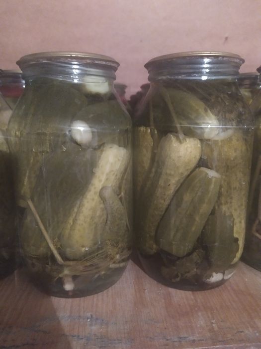 Огурцы 1,5 л маринованные