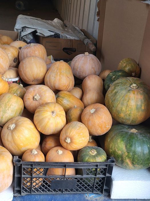 Тыкву продам, опт и розница