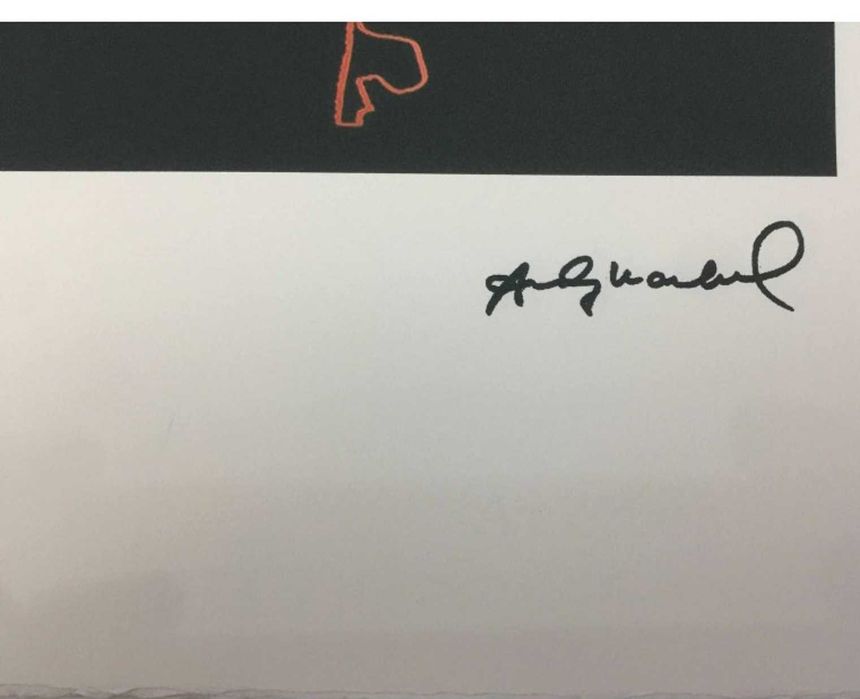 Andy Warhol - Red Bald Eagle, litografie