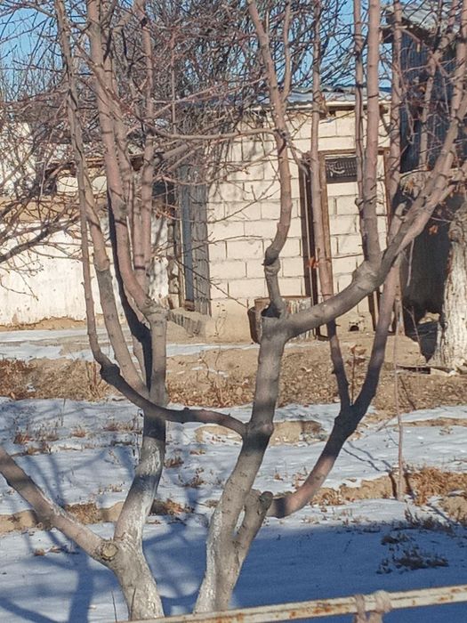 Дача сотилади  Металлург 6 куча