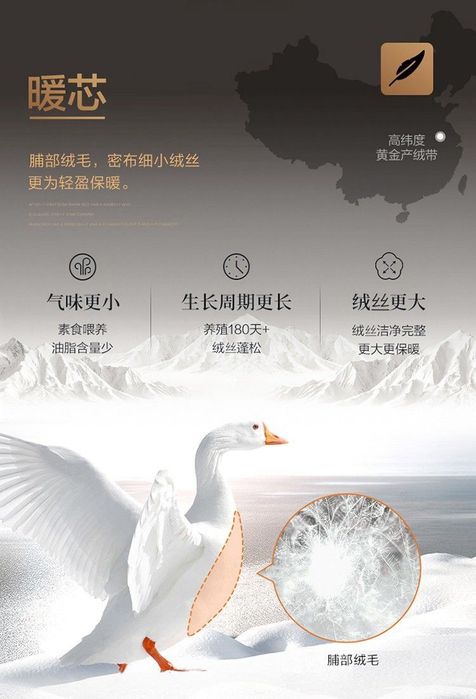 Одеяло гусиный пух