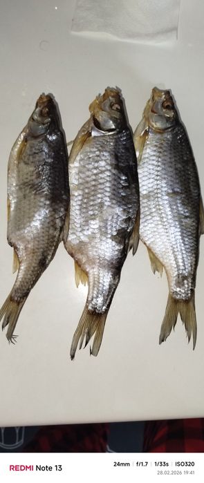 Рыба вяленая свежак