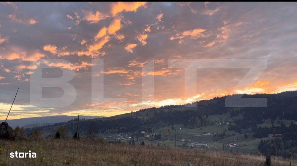 Teren intravilan 16.688 mp in Saru Dornei (video)