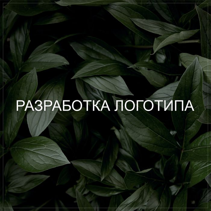 Логотип разработка