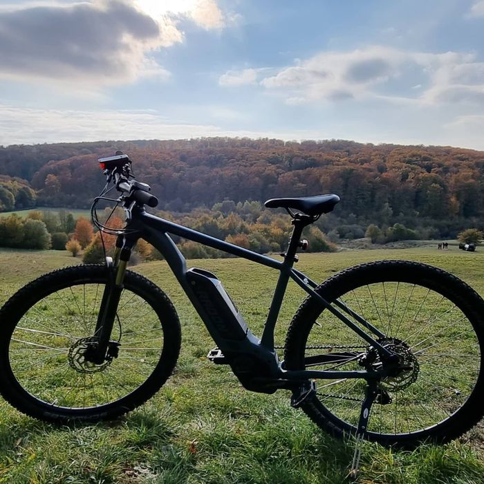 Vand bicicleta Radon PERFORMANCE 7.0 500