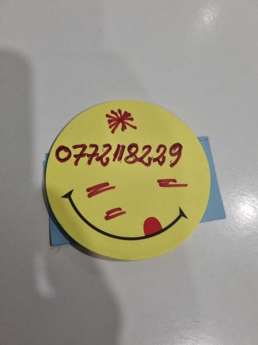 Car kitt parrot K300