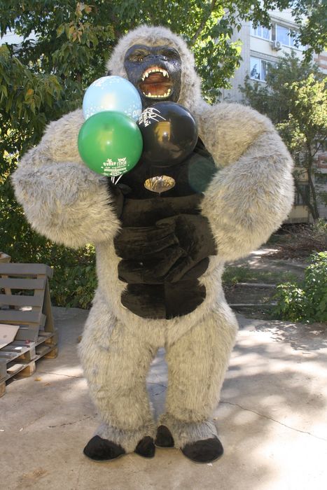 Самое пушистое поздравление