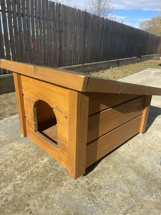 Cusca pisica, podea dubla izolata cu polistiren