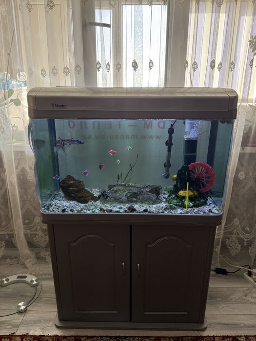 Аквариум с рыбками