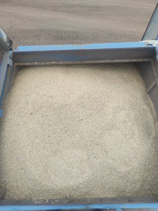 Продам пшеницу и ячмень мешками