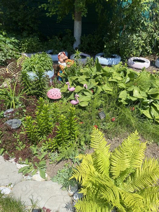 Продам дом район Аэропорт