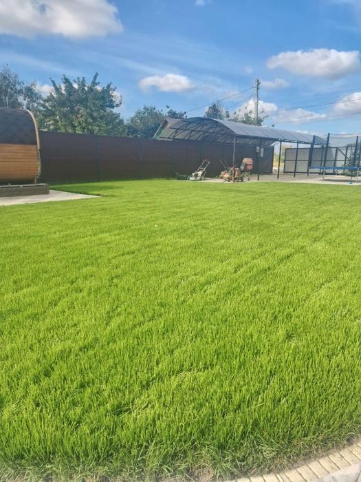 Газон под ключ рулонный посевной