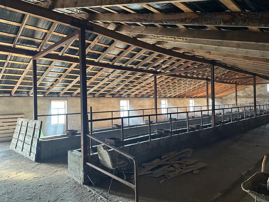 Продам откормочную базу