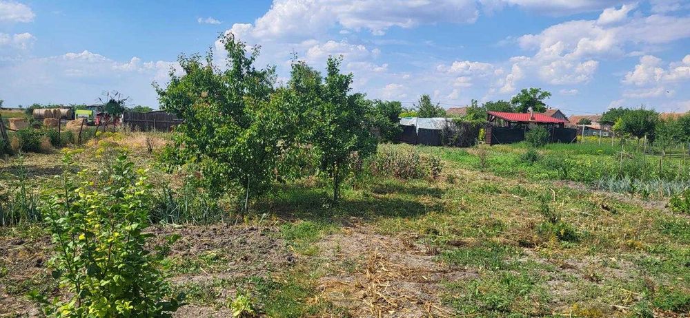 Casă de vanzare cu teren 1500mp la Bobda, Jud Timis