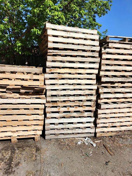 ПАЛЕТЫ по 1 250 тенге.