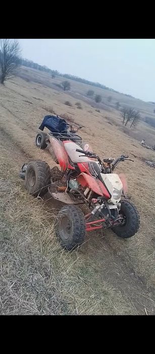 Disponibil de 250 și 125 la schimb cu animale