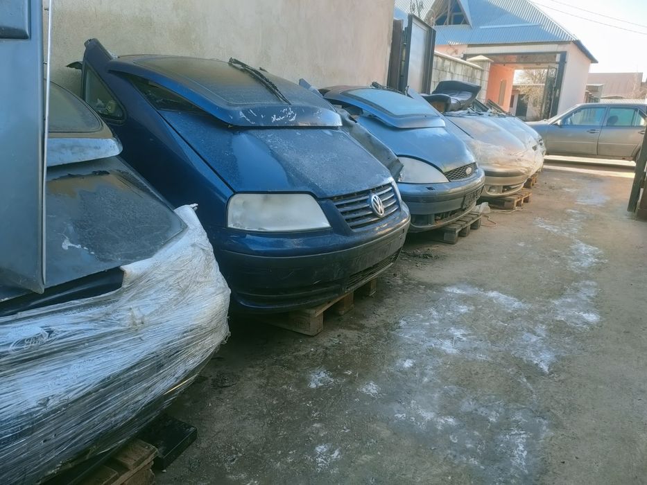 Ноускат Шаран Галакси