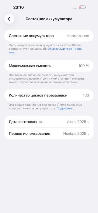 iPhone 16 Pro Max 256GB. 100%