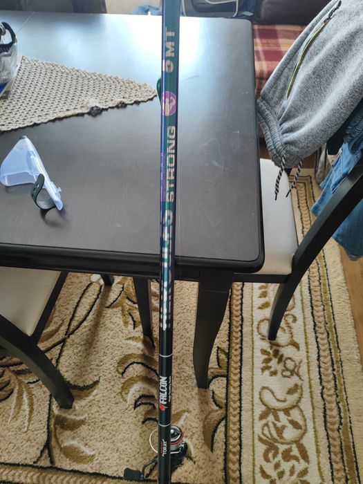 Въдица болонеза 5м.