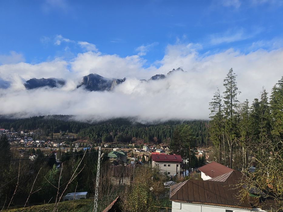 Casa de vânzare Bușteni