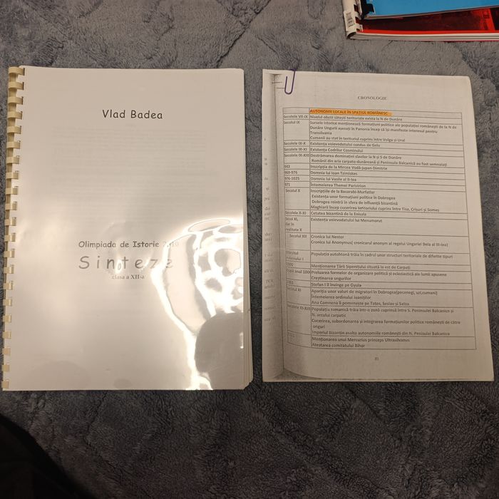 Manuale de Istorie/ Teste grila istorie si romana pentru Academia de Politie
