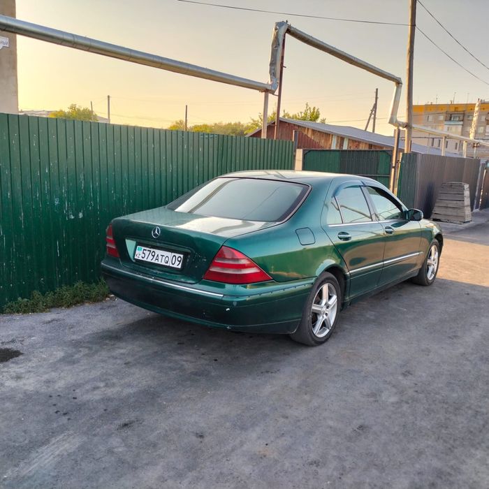 Мерседес лисичка