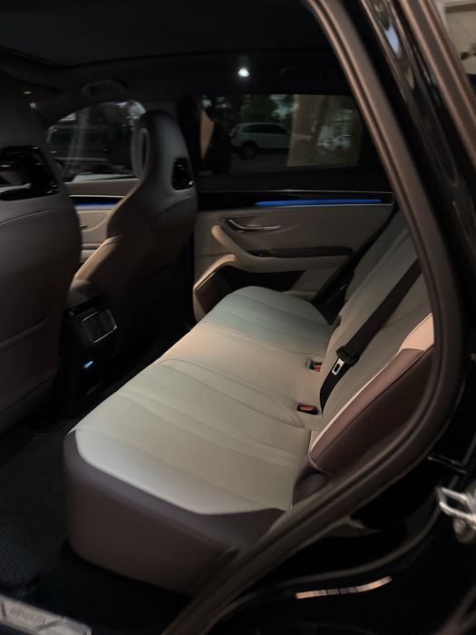 BYD Champion Smart 2025 yil