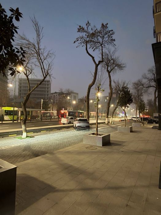 Продаётся нежилое помещения шута руставели 1 линия в доль дороге