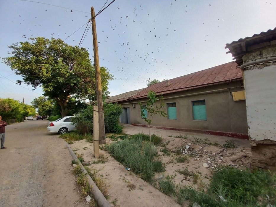 Hamma hujjatlar joyida