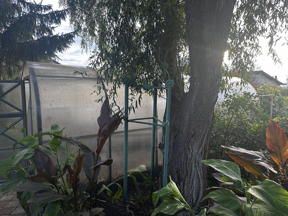 Теплица 2 на 6 метров нержавейка