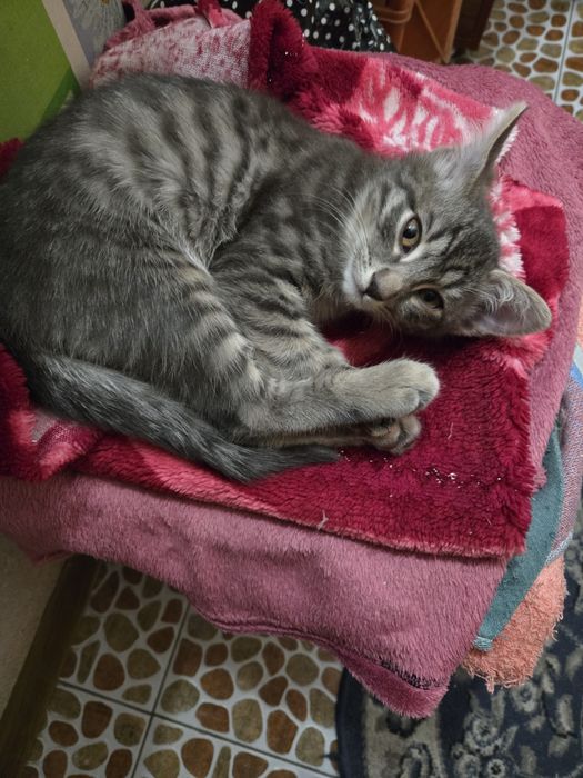 Продам не дорого